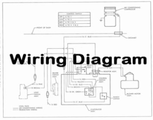 Trunk Right side Diagram